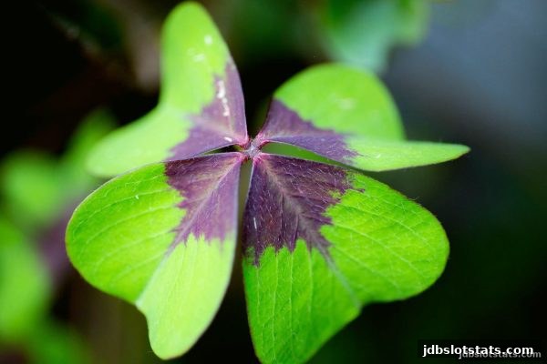 jdb电子深度解析双色球复式玩法：从入门策略到风险掌控的全方位指南