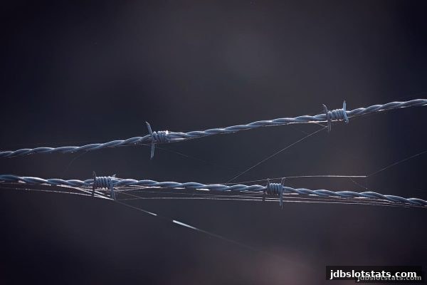 如何守护jdb电子平台资金安全？从入门到精通的防范技巧与亚盘直播趋势